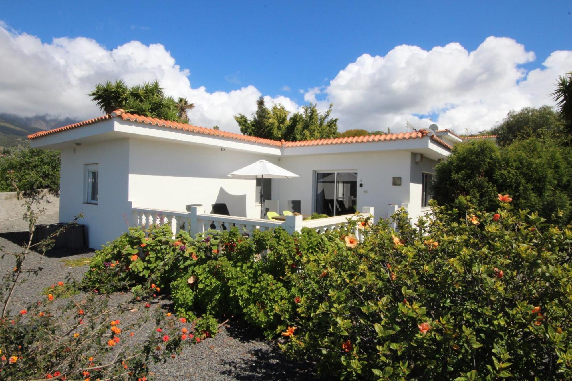 Los Guanches Bungalows إل باسو المظهر الخارجي الصورة